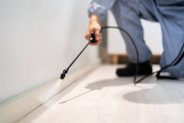 Bed Bug Pre-Treatment Preparation Assessment in Hansville