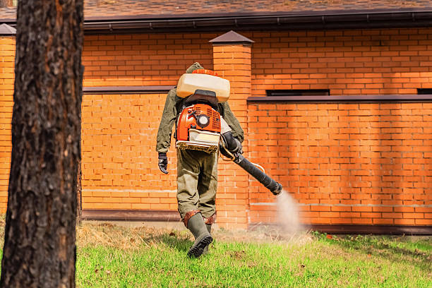 Bed Bug Clearance Verification and Documentation in Hansville